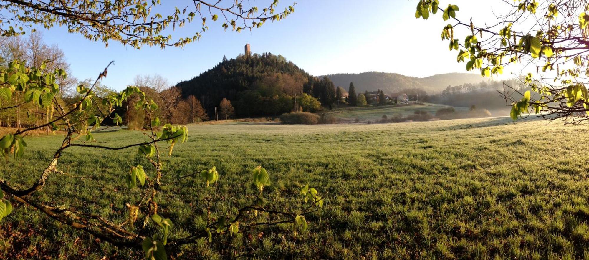 Le Gite De L'Ecureuil Sturzelbronn Exterior photo
