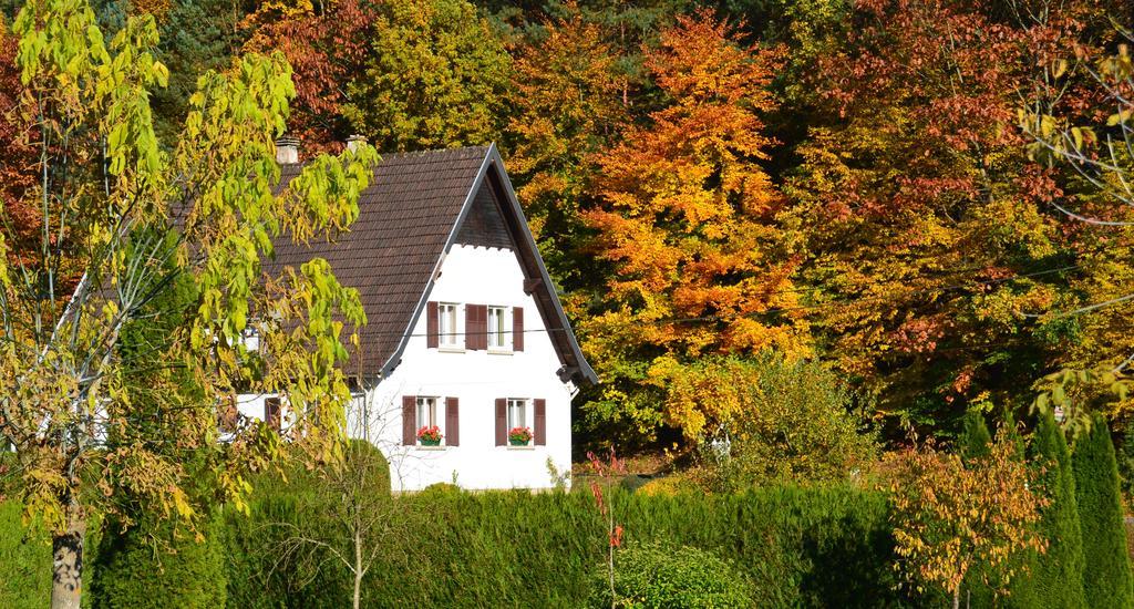 Le Gite De L'Ecureuil Sturzelbronn Exterior photo