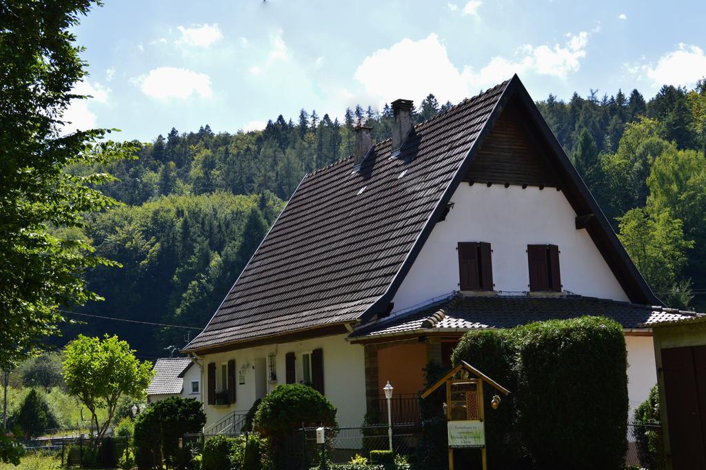 Le Gite De L'Ecureuil Sturzelbronn Exterior photo