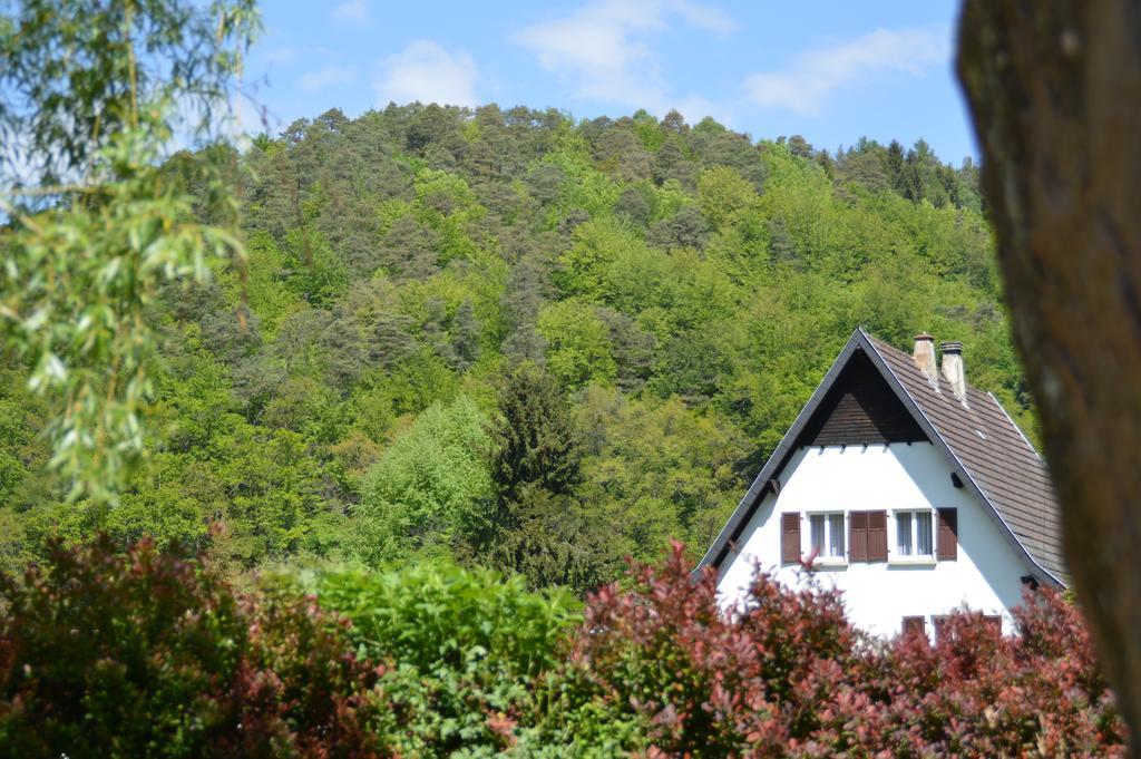 Le Gite De L'Ecureuil Sturzelbronn Exterior photo