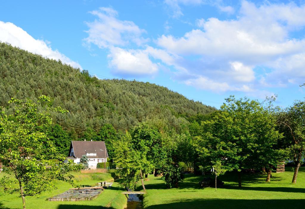 Le Gite De L'Ecureuil Sturzelbronn Exterior photo