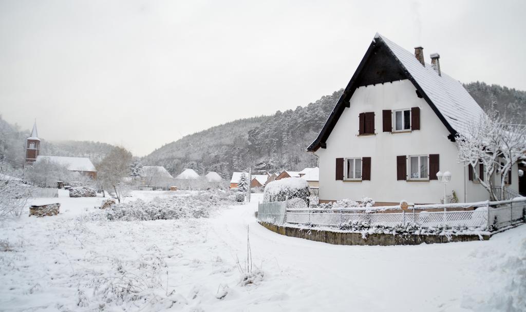 Le Gite De L'Ecureuil Sturzelbronn Exterior photo