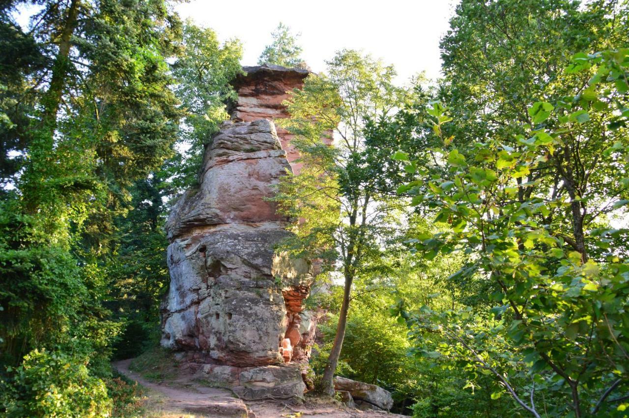 Le Gite De L'Ecureuil Sturzelbronn Exterior photo